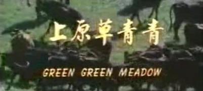 青青草原在线视频观看,青青草原在线视频精彩回顾